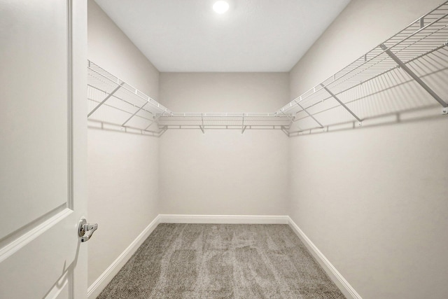 spacious closet with carpet