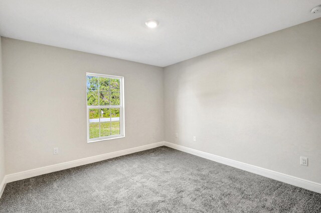 unfurnished room featuring a raised ceiling, ornamental molding, and carpet