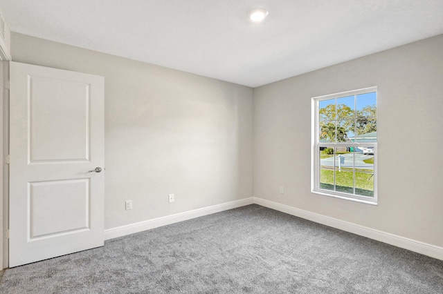 spacious closet with carpet