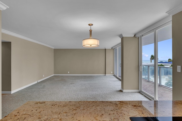 carpeted spare room featuring crown molding and a water view