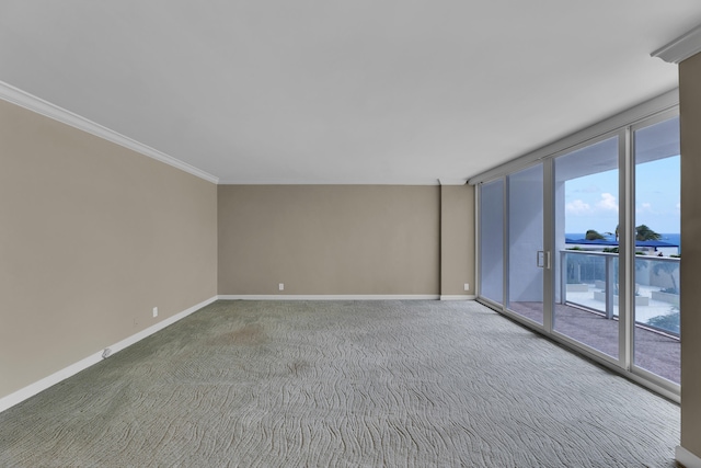 carpeted empty room with crown molding and a wall of windows