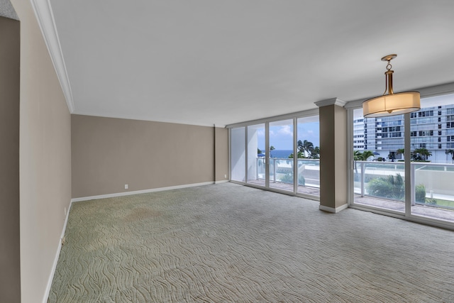 carpeted spare room with expansive windows and ornamental molding