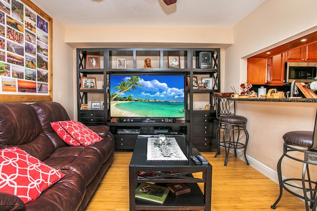 living room featuring light hardwood / wood-style floors