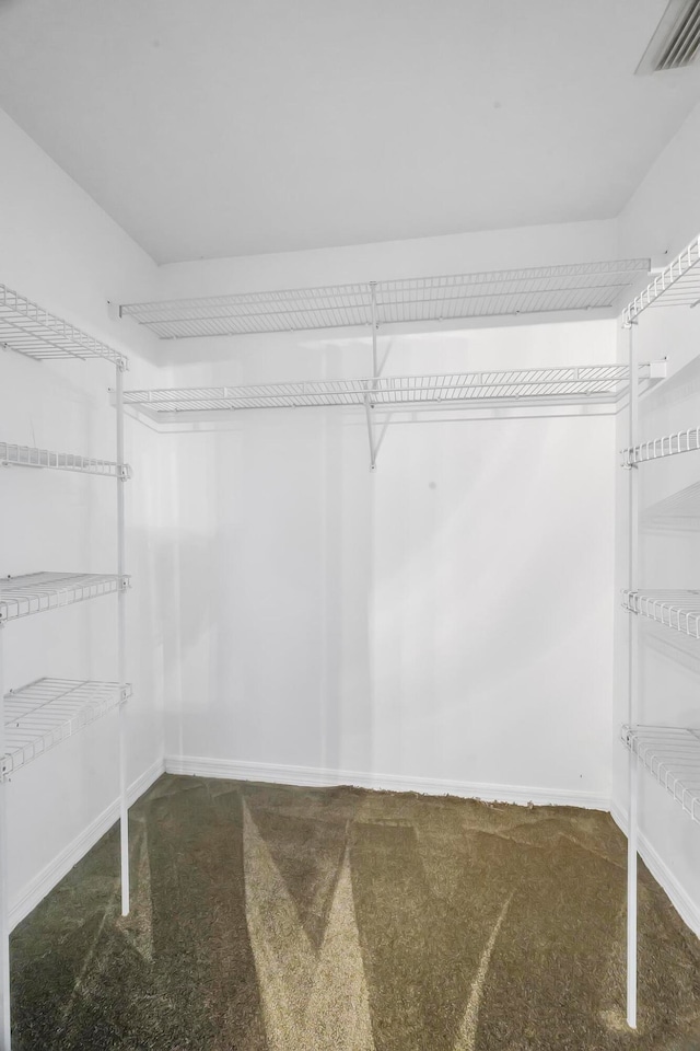 spacious closet featuring carpet floors