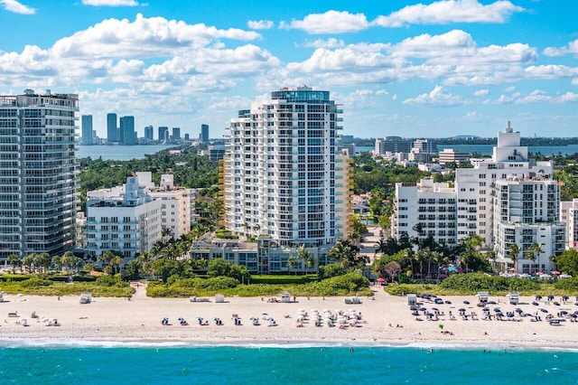 drone / aerial view with a water view and a view of the beach