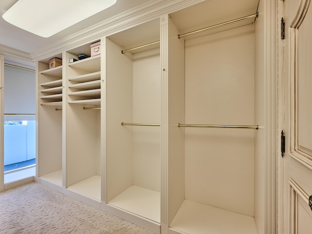 view of closet