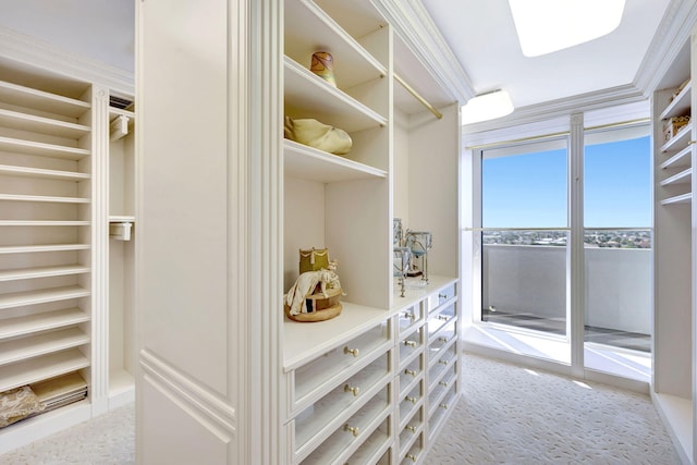 spacious closet featuring light carpet