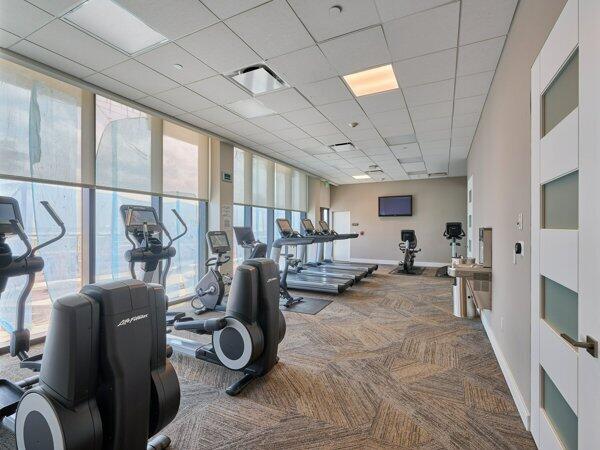 gym featuring carpet floors, visible vents, a wall of windows, a drop ceiling, and baseboards