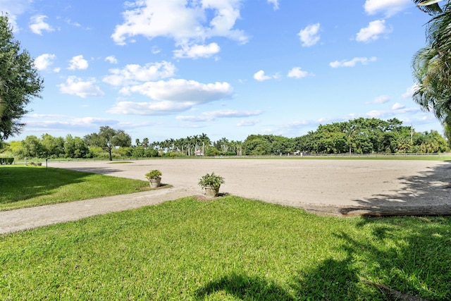 view of community with a lawn