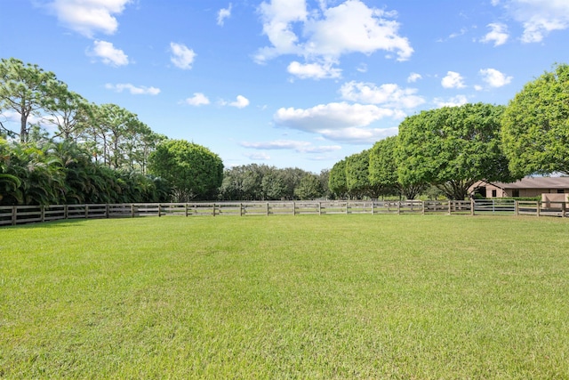 view of yard with a rural view