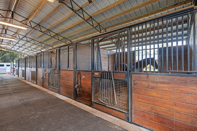 view of horse barn