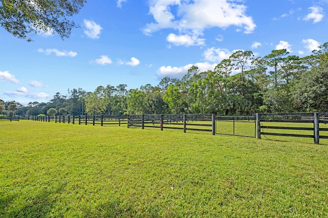 view of yard featuring a rural view