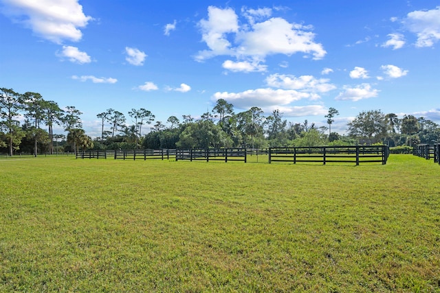 view of yard with a rural view