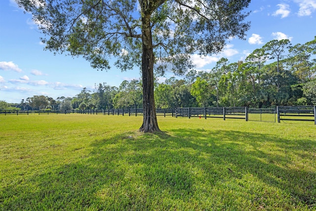 view of yard featuring a rural view