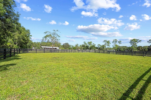 view of yard with a rural view