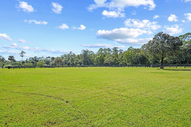 view of yard with a rural view