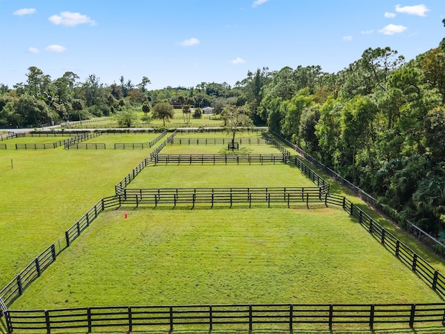 view of yard featuring a rural view