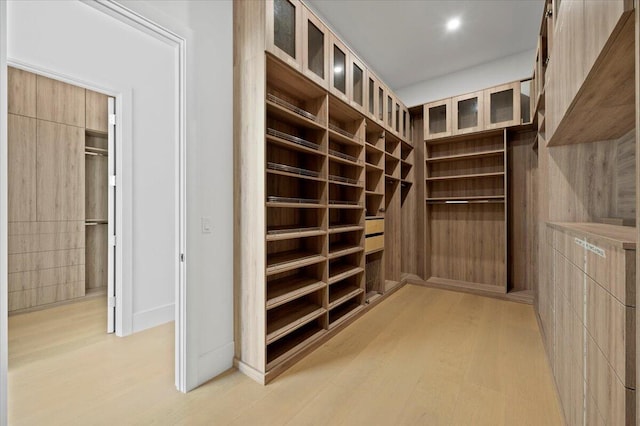 spacious closet with light wood-type flooring