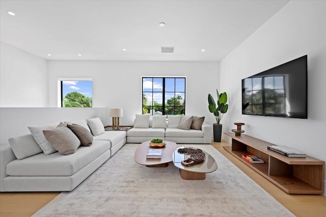 living room featuring wood-type flooring