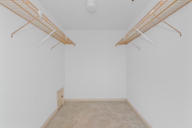 spacious closet featuring carpet floors