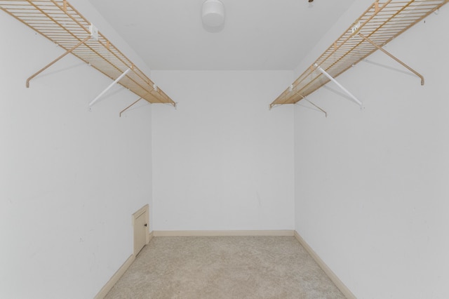 spacious closet featuring light colored carpet