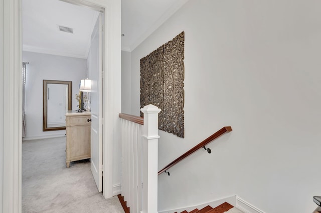 stairs featuring carpet floors and crown molding