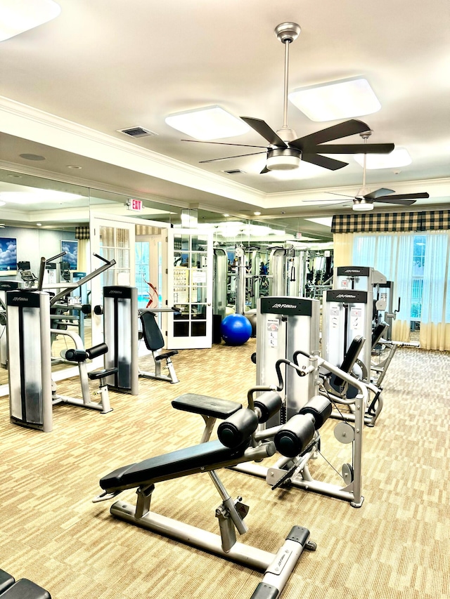 exercise room with carpet, ceiling fan, and crown molding