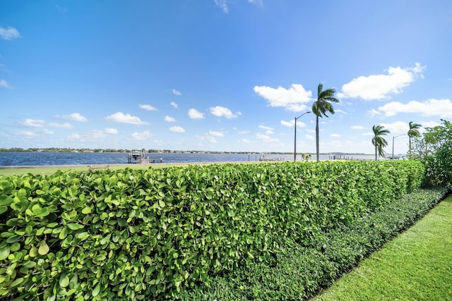 view of water feature