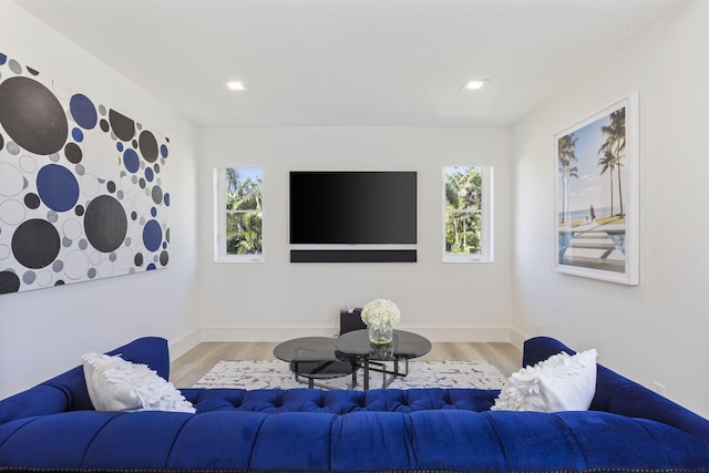 living room with plenty of natural light, baseboards, and wood finished floors