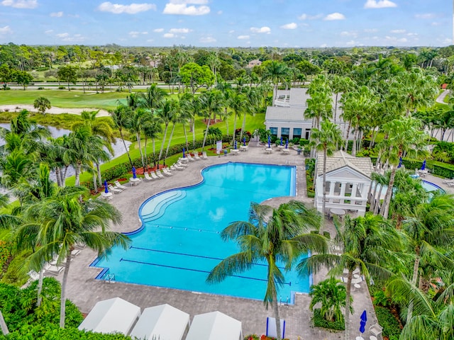 view of pool featuring a patio area