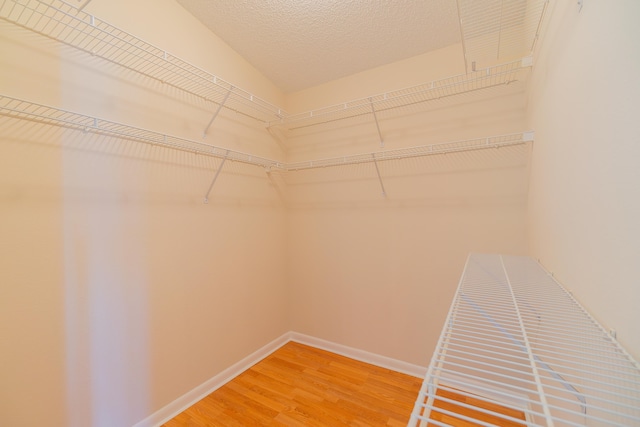 walk in closet featuring wood-type flooring