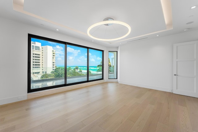 spare room featuring baseboards, light wood finished floors, and a raised ceiling