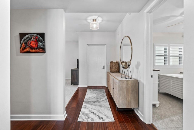 entrance foyer with dark wood-type flooring