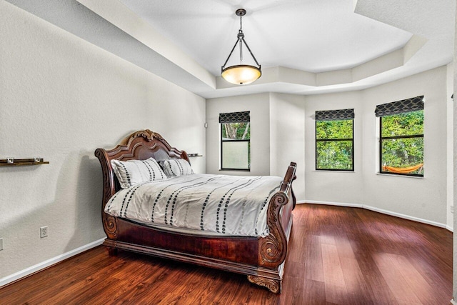 bedroom featuring dark wood-type flooring and a tray ceiling