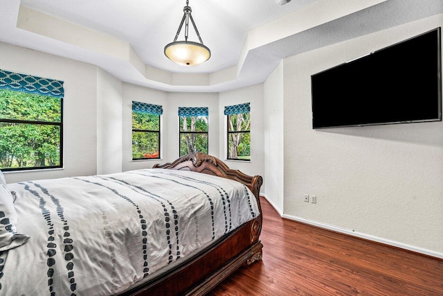 bedroom featuring dark hardwood / wood-style floors and a raised ceiling