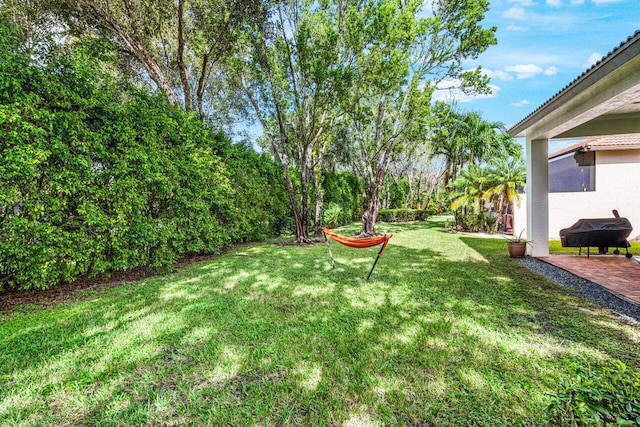 view of yard featuring a patio area