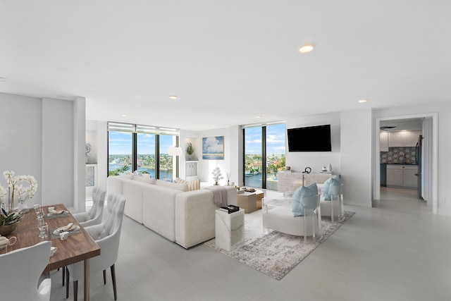 living room featuring expansive windows and a healthy amount of sunlight