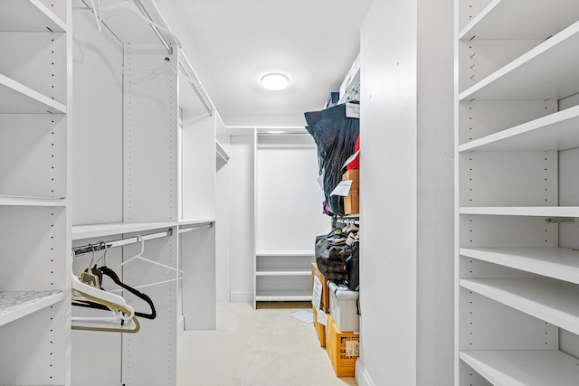 spacious closet featuring light carpet