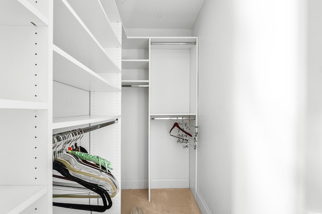 spacious closet featuring light colored carpet