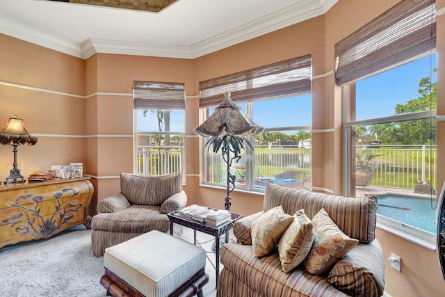 sitting room featuring crown molding and carpet