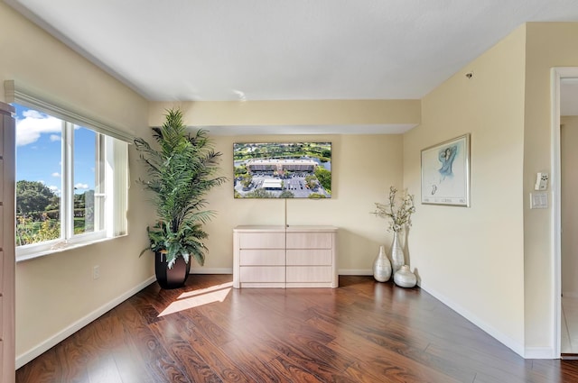 interior space with dark hardwood / wood-style floors