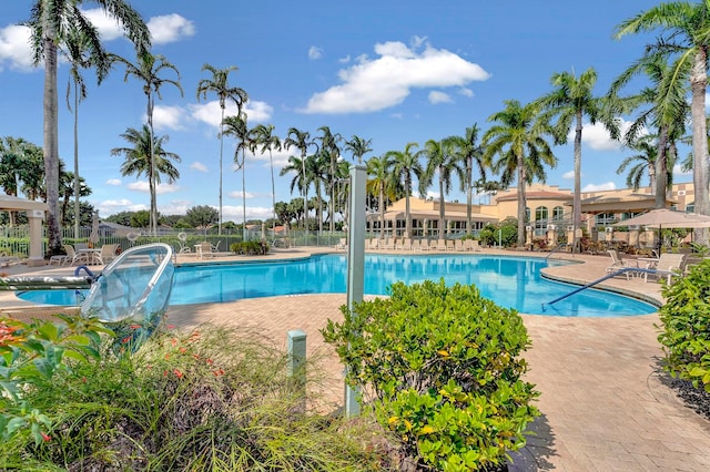 view of swimming pool with a patio area