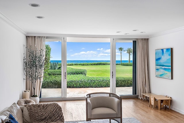 interior space featuring a wealth of natural light, hardwood / wood-style floors, and ornamental molding