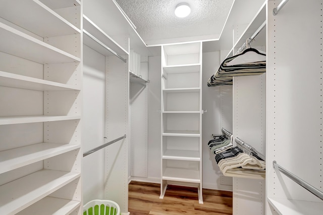 walk in closet with hardwood / wood-style flooring