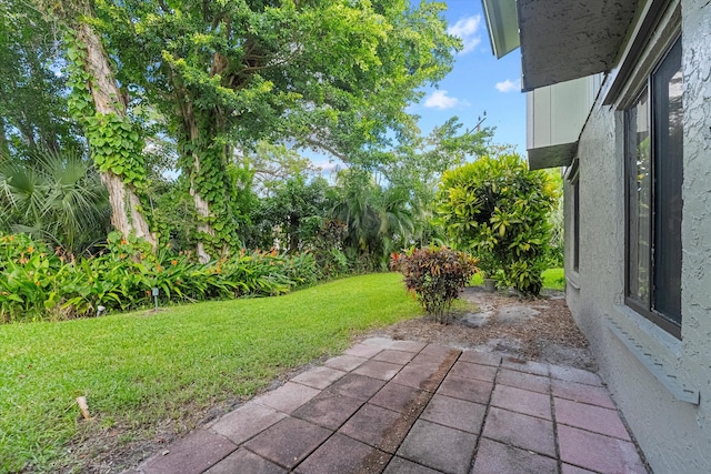 view of yard featuring a patio