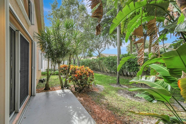 view of yard with a patio area