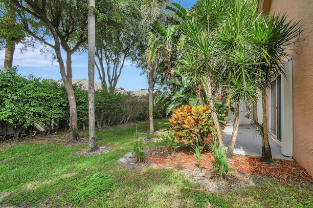 view of yard featuring a patio area