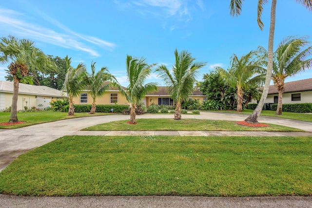 ranch-style home featuring a front yard