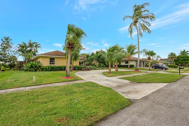 view of front of property featuring a front yard