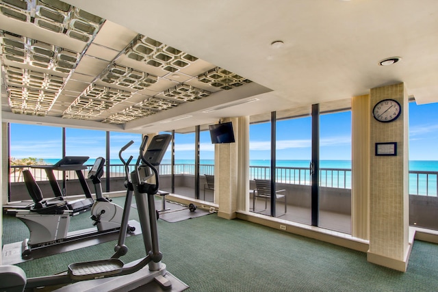 workout area with carpet flooring and expansive windows